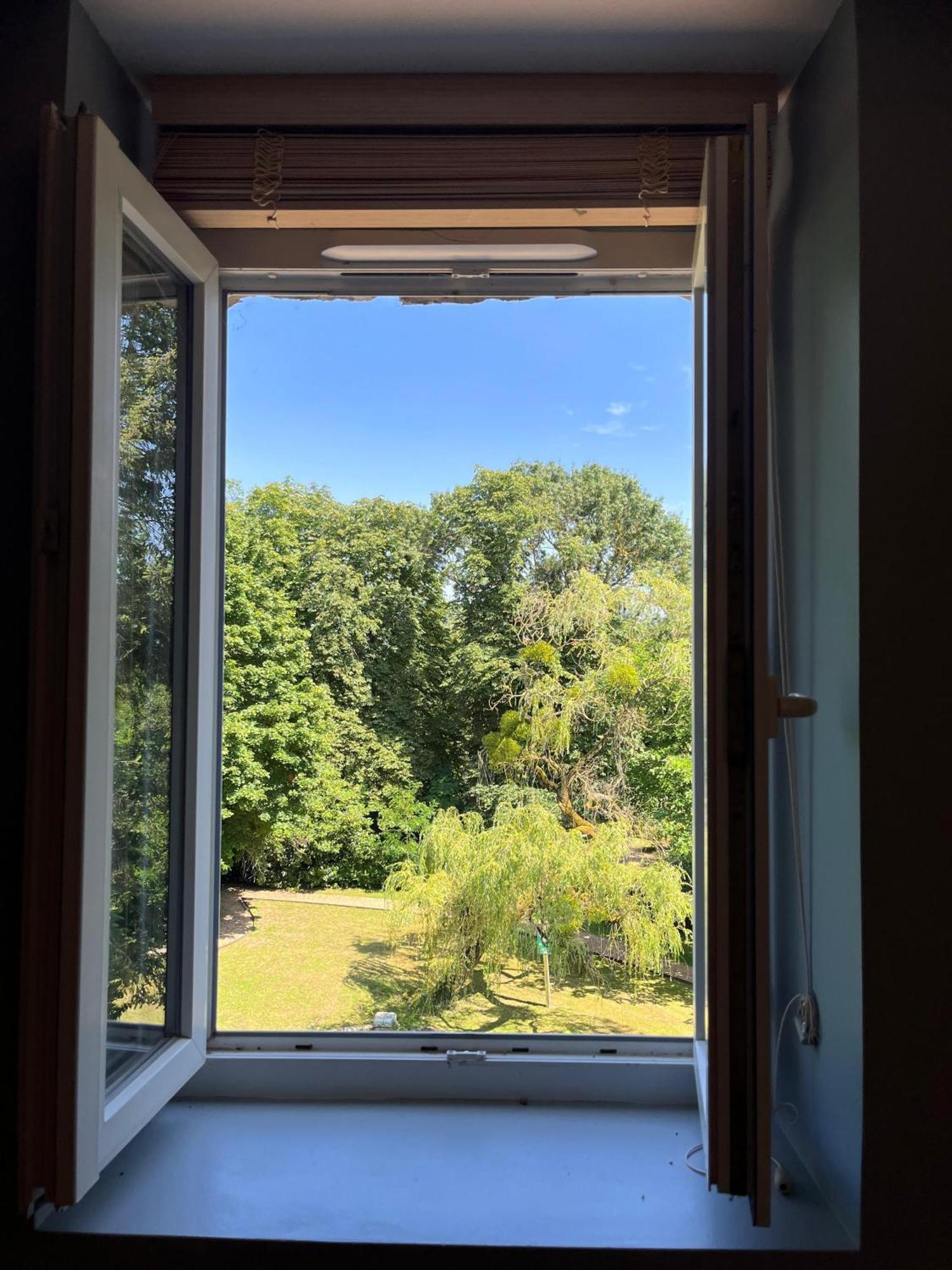 Le Clos Du Cedre Saint-Ouen  Eksteriør billede