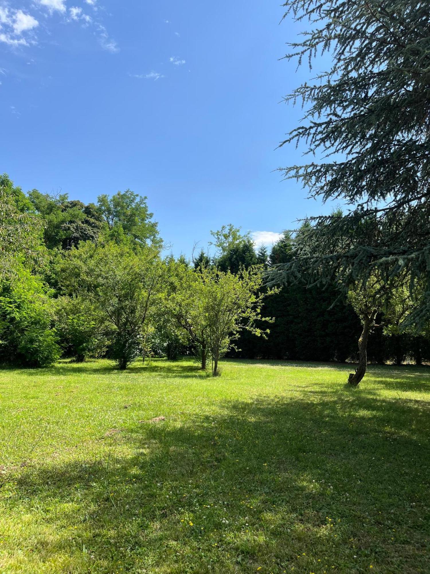 Le Clos Du Cedre Saint-Ouen  Eksteriør billede