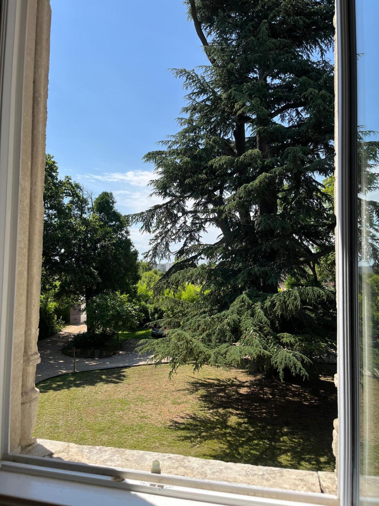 Le Clos Du Cedre Saint-Ouen  Eksteriør billede
